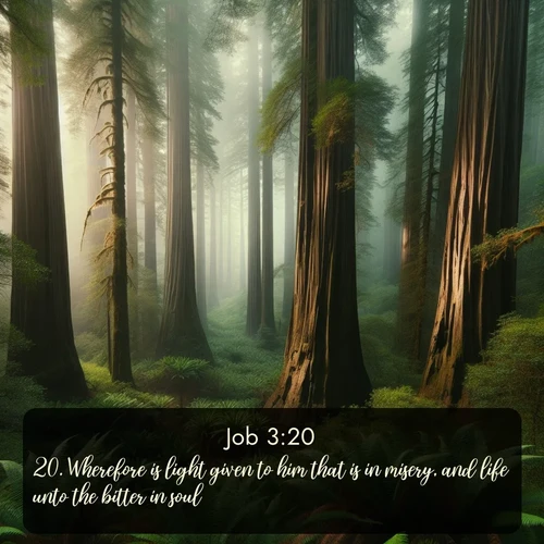 KJV Job  ; image nature: image with the bible verse :Wherefore is light given to him that is in misery, and life unto the bitter in soul; ; Explore a collection of Bible verses paired with springtime scenes, featuring blooming flowers, lush meadows, and trees in full bloom. These images symbolize divine renewal and hope. Download inspiring verses like KJV Job 3:20. Current verse is overlayed with the thematic nature scene : Coastal redwoods disappear into the fog high above a fern grove. ; 3:20