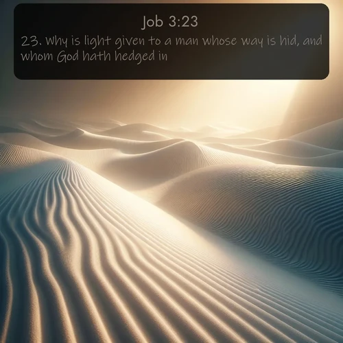 KJV Job  ; image nature: image with the bible verse :Why is light given to a man whose way is hid, and whom God hath hedged in? ; Discover Bible verses beautifully integrated with natural scenes of varied seasons, featuring summer skies, winter snow, autumn leaves, and spring blooms. Each image captures the splendor and peace of God&#039;s creation. Share verses like KJV Job 3:23. Current verse is overlayed with the thematic nature scene : Sand ripples stretch endlessly across white gypsum dunes. ; 3:23