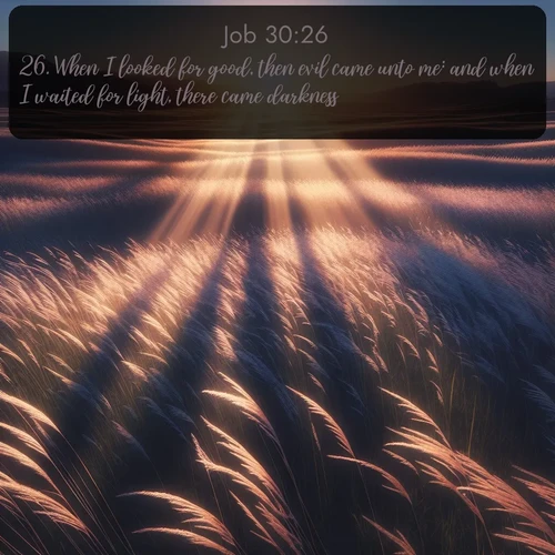 citation biblique : 26. When I looked for good, then evil came unto me: and when I waited for light, there came darkness.
 sur fond image nature