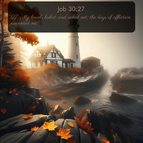 citation biblique : 27. My bowels boiled, and rested not: the days of affliction prevented me.
 sur fond image nature