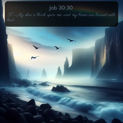 citation biblique : 30. My skin is black upon me, and my bones are burned with heat.
 sur fond image nature