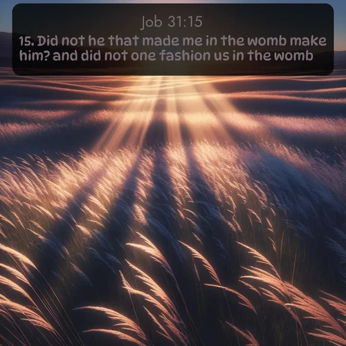 citation biblique : 15. Did not he that made me in the womb make him? and did not one fashion us in the womb?
 sur fond image nature