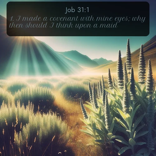 citation biblique : 1. I made a covenant with mine eyes; why then should I think upon a maid?
 sur fond image nature