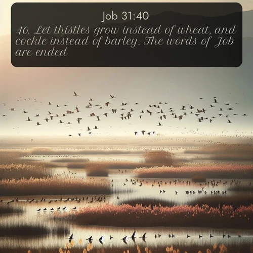citation biblique : 40. Let thistles grow instead of wheat, and cockle instead of barley. The words of Job are ended.
 sur fond image nature