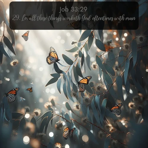 citation biblique : 29. Lo, all these things worketh God oftentimes with man,
 sur fond image nature