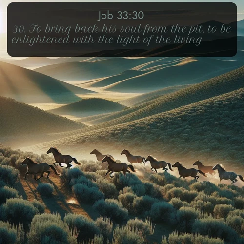 citation biblique : 30. To bring back his soul from the pit, to be enlightened with the light of the living.
 sur fond image nature