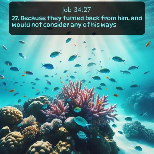 citation biblique : 27. Because they turned back from him, and would not consider any of his ways:
 sur fond image nature