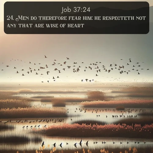 citation biblique : 24. Men do therefore fear him: he respecteth not any that are wise of heart.
 sur fond image nature