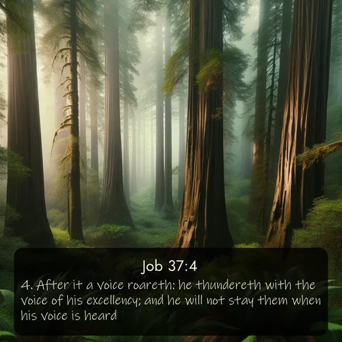 citation biblique : 4. After it a voice roareth: he thundereth with the voice of his excellency; and he will not stay them when his voice is heard.
 sur fond image nature