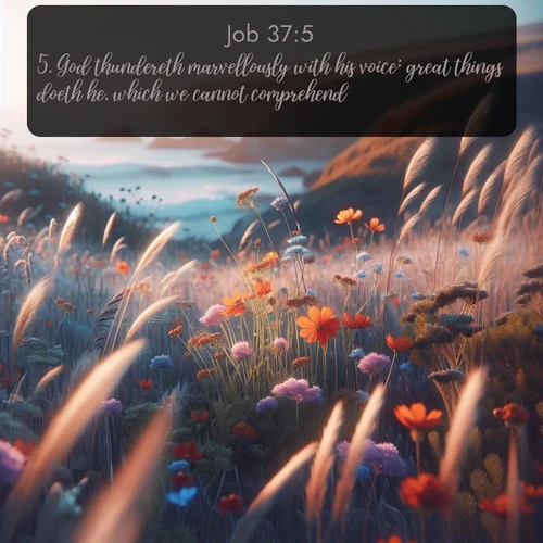 citation biblique : 5. God thundereth marvellously with his voice; great things doeth he, which we cannot comprehend.
 sur fond image nature