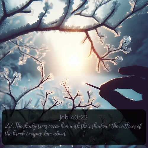 citation biblique : 22. The shady trees cover him with their shadow; the willows of the brook compass him about.
 sur fond image nature