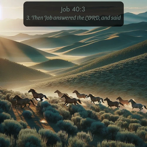 citation biblique : 3. Then Job answered the LORD, and said,
 sur fond image nature