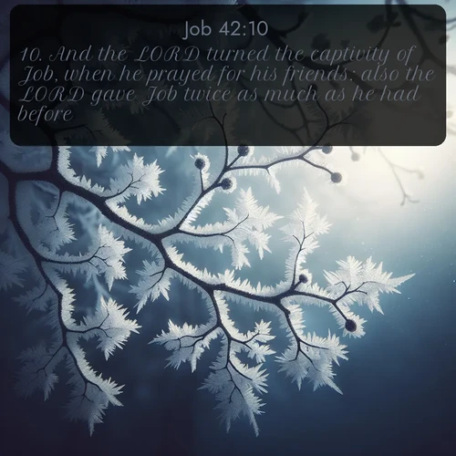 citation biblique : 10. And the LORD turned the captivity of Job, when he prayed for his friends: also the LORD gave Job twice as much as he had before.
 sur fond image nature