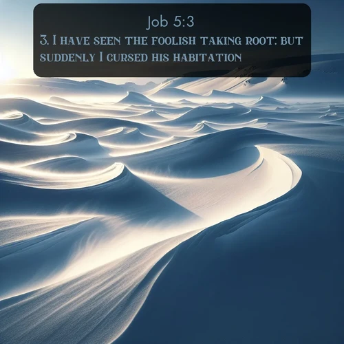 citation biblique : 3. I have seen the foolish taking root: but suddenly I cursed his habitation.
 sur fond image nature