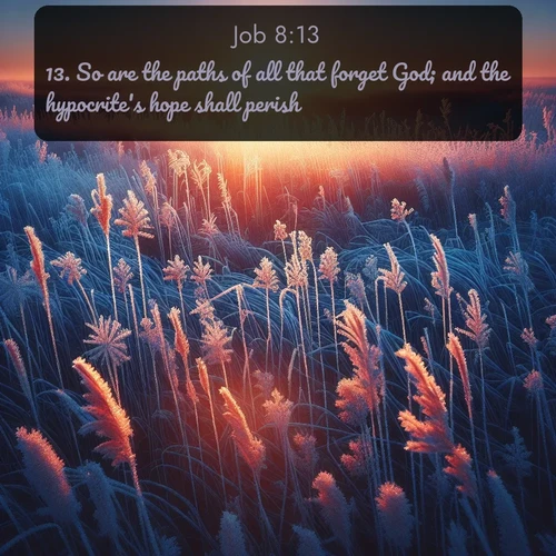 citation biblique : 13. So are the paths of all that forget God; and the hypocrite&#039;s hope shall perish:
 sur fond image nature