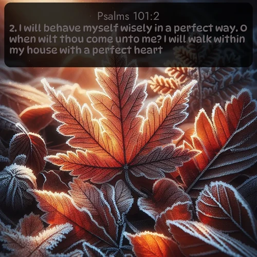 citation biblique : 2. I will behave myself wisely in a perfect way. O when wilt thou come unto me? I will walk within my house with a perfect heart.
 sur fond image nature
