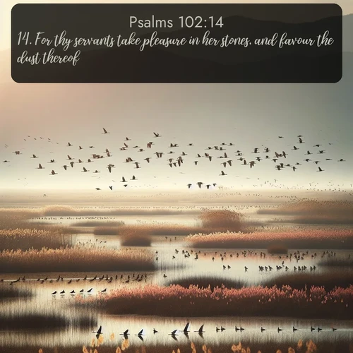 citation biblique : 14. For thy servants take pleasure in her stones, and favour the dust thereof.
 sur fond image nature