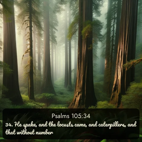 citation biblique : 34. He spake, and the locusts came, and caterpillers, and that without number,
 sur fond image nature