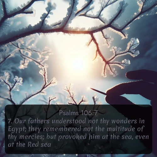 citation biblique : 7. Our fathers understood not thy wonders in Egypt; they remembered not the multitude of thy mercies; but provoked him at the sea, even at the Red sea.
 sur fond image nature