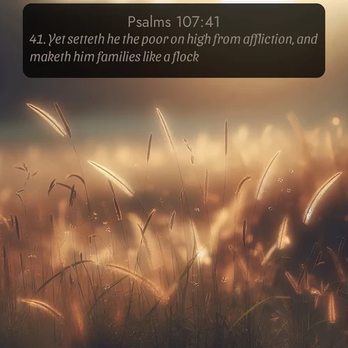 citation biblique : 41. Yet setteth he the poor on high from affliction, and maketh him families like a flock.
 sur fond image nature