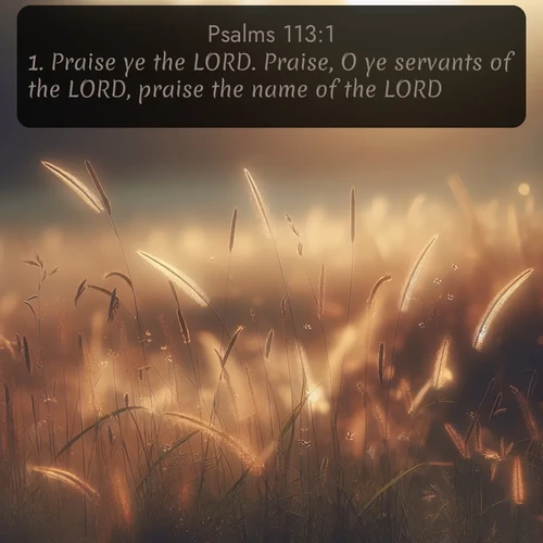 citation biblique : 1. Praise ye the LORD. Praise, O ye servants of the LORD, praise the name of the LORD.
 sur fond image nature