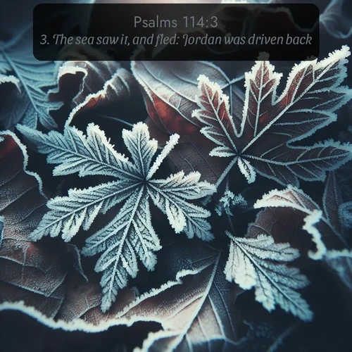 KJV Psalms  ; image nature: image with the bible verse :The sea saw it, and fled: Jordan was driven back. ; Admire our autumnal collection of Bible verse images accompanied by photos of paths lined with red and yellow leaves, fiery forests, and calm rivers. These images inspire reflection and serenity. Share verses like KJV Psalms 114:3. Current verse is overlayed with the thematic nature scene : Winter frost creates delicate patterns on fallen leaves. ; 114:3