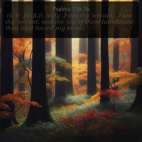 citation biblique : 16. O LORD, truly I am thy servant; I am thy servant, and the son of thine handmaid: thou hast loosed my bonds.
 sur fond image nature
