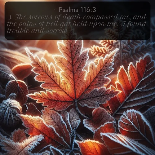 citation biblique : 3. The sorrows of death compassed me, and the pains of hell gat hold upon me: I found trouble and sorrow.
 sur fond image nature