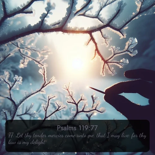 KJV Psalms  ; image nature: image with the bible verse :Let thy tender mercies come unto me, that I may live: for thy law is my delight. ; Admire our free collection of Bible verse images with beautiful landscapes like sunlit forests, rippling waters, and radiant dawns. Each verse, such as KJV Psalms 119:77, is ready to download and share. Current verse is overlayed with the thematic nature scene : Winter sunrise glows through ice-coated branches. ; 119:77