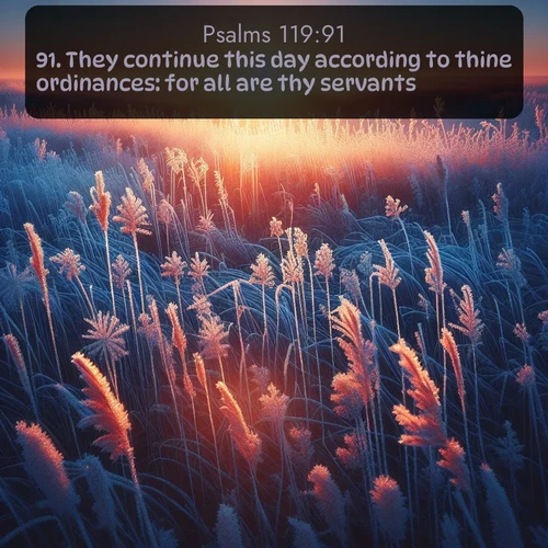 KJV Psalms  ; image nature: image with the bible verse :They continue this day according to thine ordinances: for all are thy servants. ; Admire Bible images representing autumn, with swirling leaves, misty skies, and vibrant trees. These images inspire profound spiritual reflection. Download and share verses like KJV Psalms 119:91. Current verse is overlayed with the thematic nature scene : Winter sunrise illuminates frost-covered prairie grass. ; 119:91