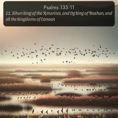 citation biblique : 11. Sihon king of the Amorites, and Og king of Bashan, and all the kingdoms of Canaan:
 sur fond image nature