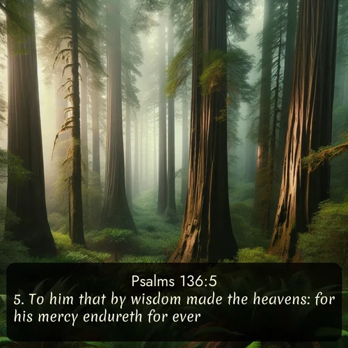 citation biblique : 5. To him that by wisdom made the heavens: for his mercy endureth for ever.
 sur fond image nature