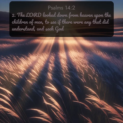 citation biblique : 2. The LORD looked down from heaven upon the children of men, to see if there were any that did understand, and seek God.
 sur fond image nature