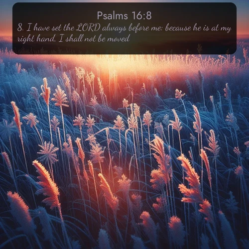 citation biblique : 8. I have set the LORD always before me: because he is at my right hand, I shall not be moved.
 sur fond image nature