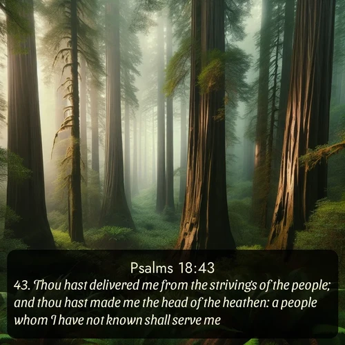 citation biblique : 43. Thou hast delivered me from the strivings of the people; and thou hast made me the head of the heathen: a people whom I have not known shall serve me.
 sur fond image nature