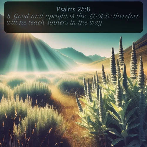 citation biblique : 8. Good and upright is the LORD: therefore will he teach sinners in the way.
 sur fond image nature