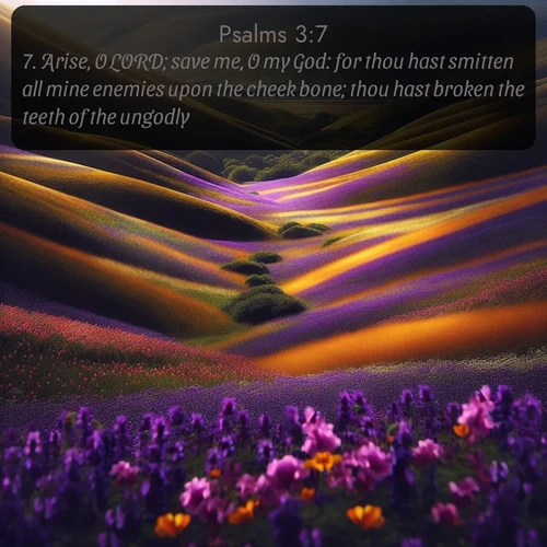 KJV Psalms  ; image nature: image with the bible verse :Arise, O LORD; save me, O my God: for thou hast smitten all mine enemies upon the cheek bone; thou hast broken the teeth of the ungodly. ; Explore serene Bible verse images adorned with photos of divine creation—tranquil beaches, snowy mountains, and starry skies. Each image is free to download and share. Verses include KJV Psalms 3:7. Current verse is overlayed with the thematic nature scene : Spring wildflowers carpet rolling hills in purple and gold. ; 3:7