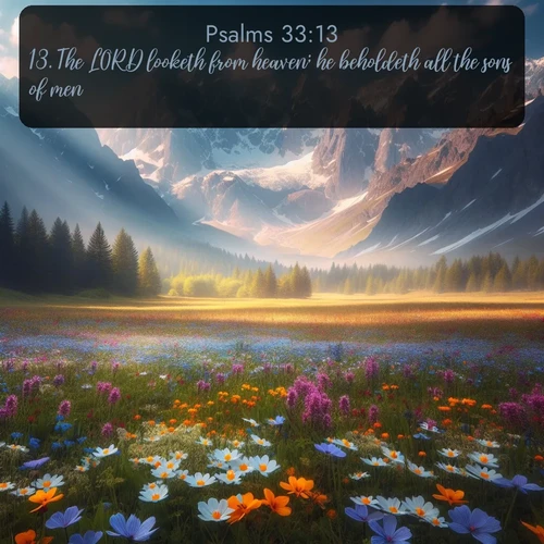 citation biblique : 13. The LORD looketh from heaven; he beholdeth all the sons of men.
 sur fond image nature