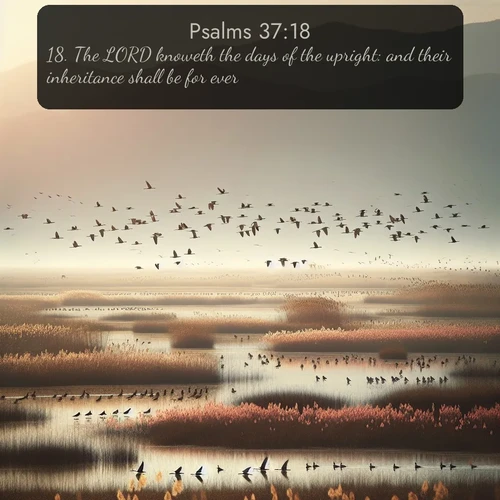 citation biblique : 18. The LORD knoweth the days of the upright: and their inheritance shall be for ever.
 sur fond image nature