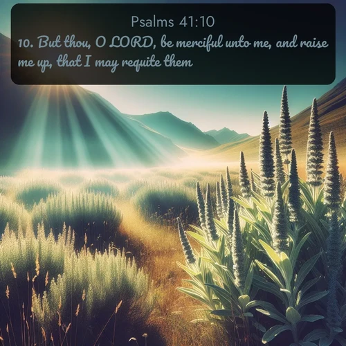 citation biblique : 10. But thou, O LORD, be merciful unto me, and raise me up, that I may requite them.
 sur fond image nature