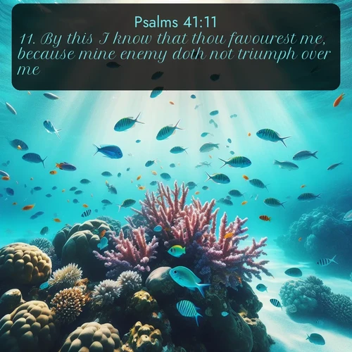 citation biblique : 11. By this I know that thou favourest me, because mine enemy doth not triumph over me.
 sur fond image nature