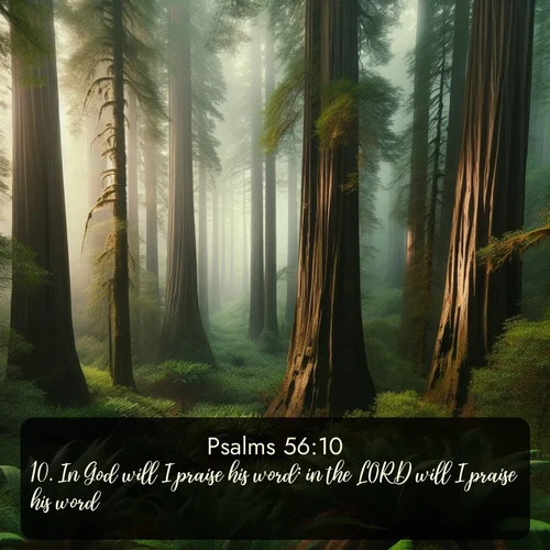 citation biblique : 10. In God will I praise his word: in the LORD will I praise his word.
 sur fond image nature