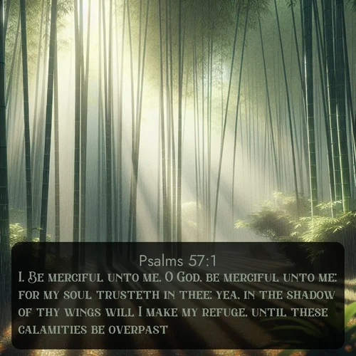 citation biblique : 1. Be merciful unto me, O God, be merciful unto me: for my soul trusteth in thee: yea, in the shadow of thy wings will I make my refuge, until these calamities be overpast.
 sur fond image nature