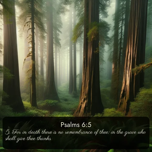 citation biblique : 5. For in death there is no remembrance of thee: in the grave who shall give thee thanks?
 sur fond image nature