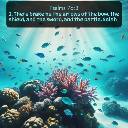 citation biblique : 3. There brake he the arrows of the bow, the shield, and the sword, and the battle. Selah.
 sur fond image nature