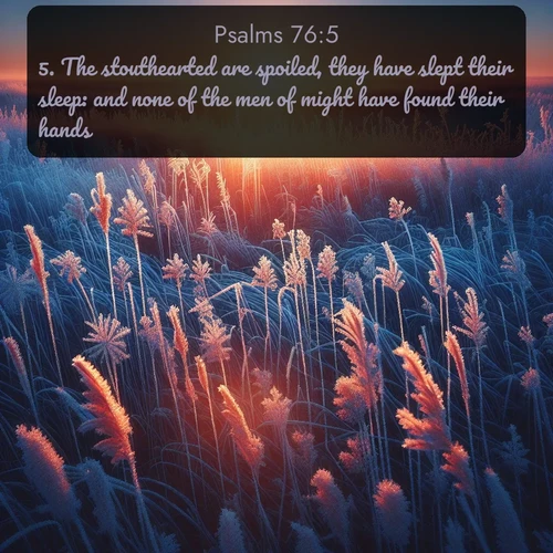 KJV Psalms  ; image nature: image with the bible verse :The stouthearted are spoiled, they have slept their sleep: and none of the men of might have found their hands. ; Browse an inspiring gallery of Bible verse images with nature photos, such as blooming gardens, golden deserts, and shaded forests. The chosen images capture the peaceful and joyful essence of God&#039;s creation, with vibrant colors and harmonious fonts. Share verses like KJV Psalms 76:5. Current verse is overlayed with the thematic nature scene : Winter sunrise illuminates frost-covered prairie grass. ; 76:5