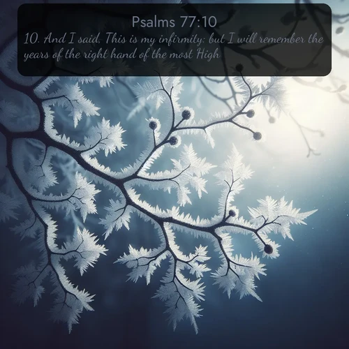 citation biblique : 10. And I said, This is my infirmity: but I will remember the years of the right hand of the most High.
 sur fond image nature