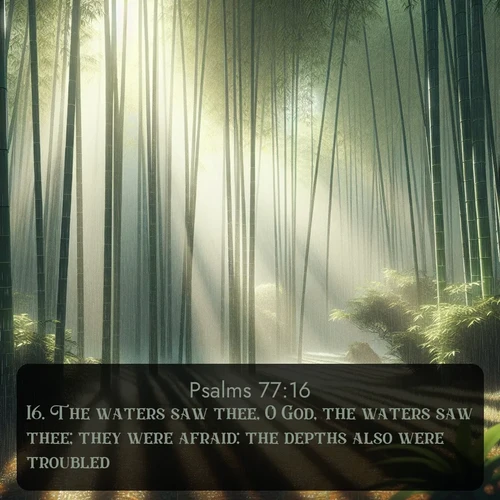 citation biblique : 16. The waters saw thee, O God, the waters saw thee; they were afraid: the depths also were troubled.
 sur fond image nature
