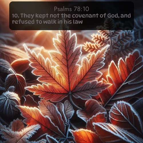 citation biblique : 10. They kept not the covenant of God, and refused to walk in his law;
 sur fond image nature