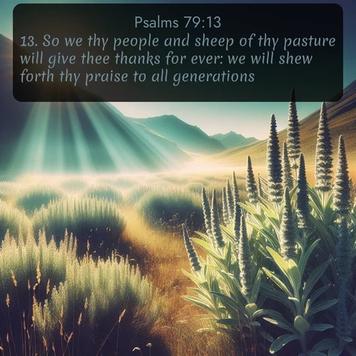 citation biblique : 13. So we thy people and sheep of thy pasture will give thee thanks for ever: we will shew forth thy praise to all generations.
 sur fond image nature